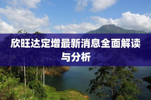 欣旺达定增最新消息全面解读与分析