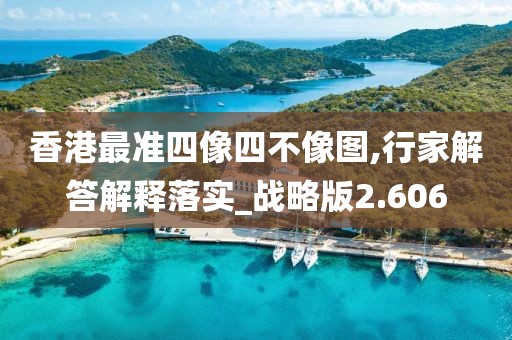 香港最准四像四不像图,行家解答解释落实_战略版2.606