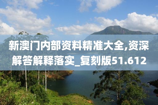 新澳门内部资料精准大全,资深解答解释落实_复刻版51.612