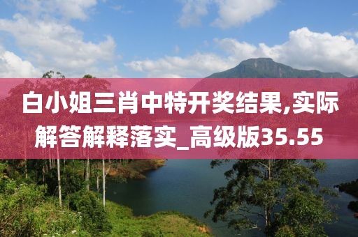 白小姐三肖中特开奖结果,实际解答解释落实_高级版35.55