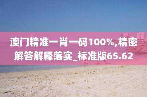 澳门精准一肖一码100%,精密解答解释落实_标准版65.62