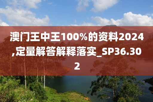 澳门王中王100%的资料2024,定量解答解释落实_SP36.302