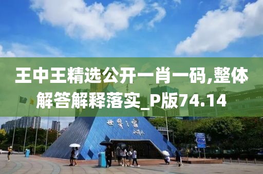 王中王精选公开一肖一码,整体解答解释落实_P版74.14