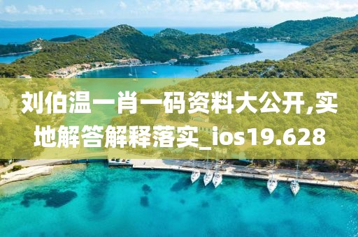 刘伯温一肖一码资料大公开,实地解答解释落实_ios19.628