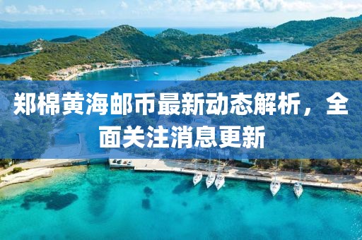 郑棉黄海邮币最新动态解析，全面关注消息更新