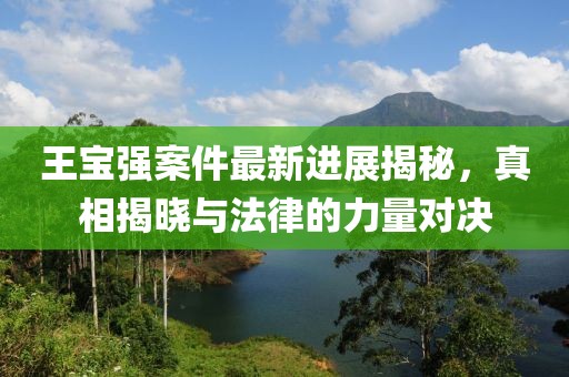 王宝强案件最新进展揭秘，真相揭晓与法律的力量对决