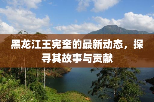 黑龙江王宪奎的最新动态，探寻其故事与贡献