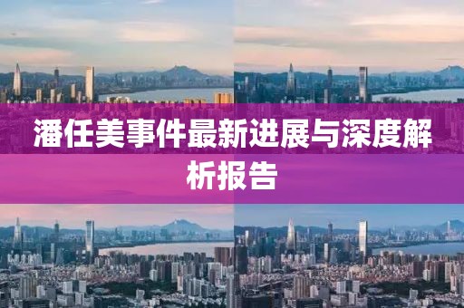 潘任美事件最新进展与深度解析报告