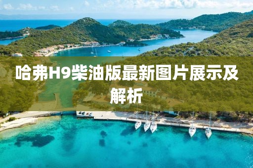 哈弗H9柴油版最新图片展示及解析