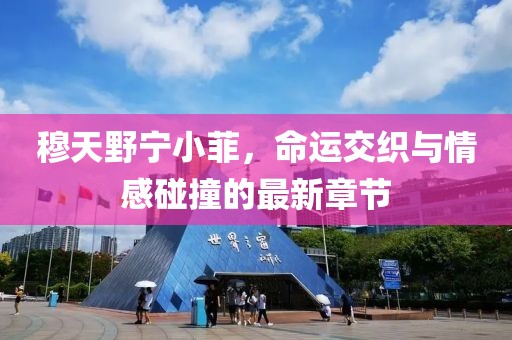 穆天野宁小菲，命运交织与情感碰撞的最新章节
