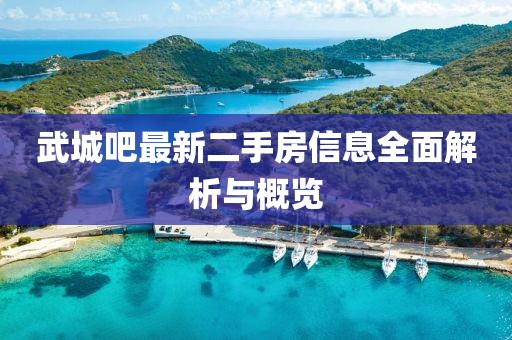 武城吧最新二手房信息全面解析与概览