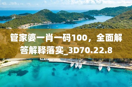 管家婆一肖一码100，全面解答解释落实_3D70.22.8