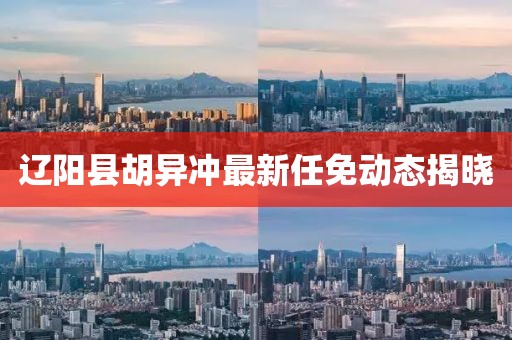 辽阳县胡异冲最新任免动态揭晓