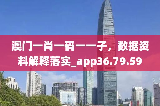 澳门一肖一码一一子，数据资料解释落实_app36.79.59