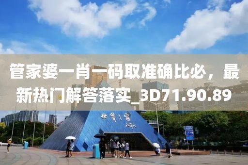 管家婆一肖一码取准确比必，最新热门解答落实_3D71.90.89