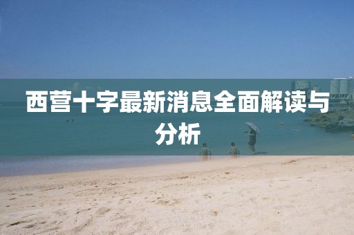 西营十字最新消息全面解读与分析