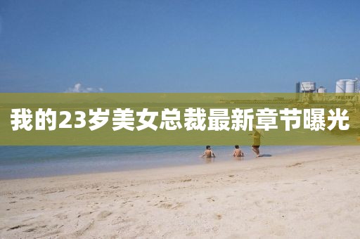 我的23岁美女总裁最新章节曝光