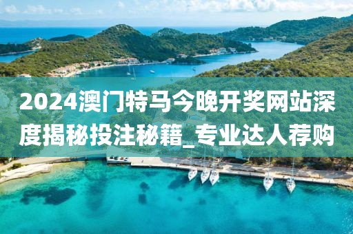 2024澳门特马今晚开奖网站深度揭秘投注秘籍_专业达人荐购