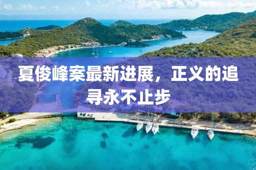 夏俊峰案最新进展，正义的追寻永不止步
