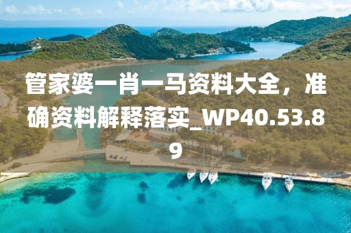 管家婆一肖一马资料大全，准确资料解释落实_WP40.53.89