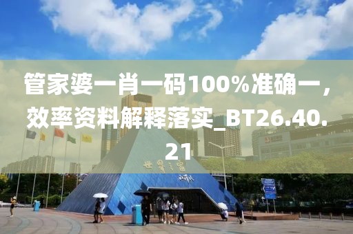 管家婆一肖一码100%准确一，效率资料解释落实_BT26.40.21