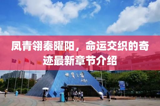 凤青翎秦曜阳，命运交织的奇迹最新章节介绍
