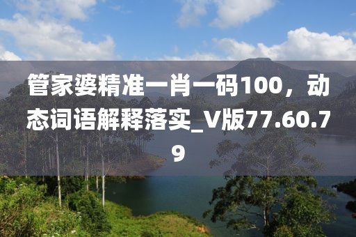管家婆精准一肖一码100，动态词语解释落实_V版77.60.79