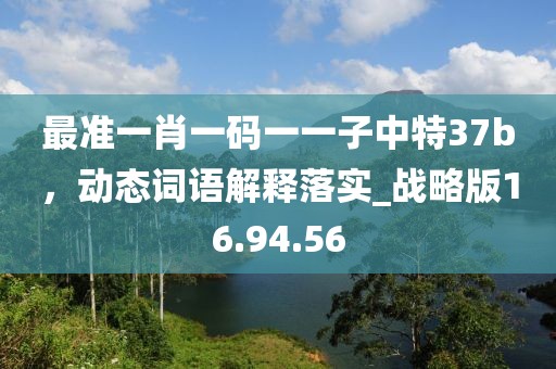 最准一肖一码一一子中特37b，动态词语解释落实_战略版16.94.56