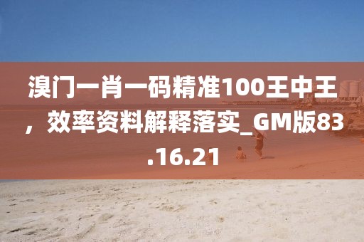 溴门一肖一码精准100王中王，效率资料解释落实_GM版83.16.21