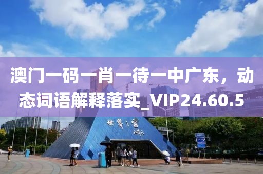 澳门一码一肖一待一中广东，动态词语解释落实_VIP24.60.5