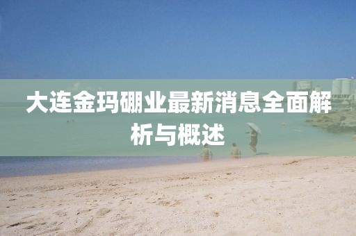 大连金玛硼业最新消息全面解析与概述