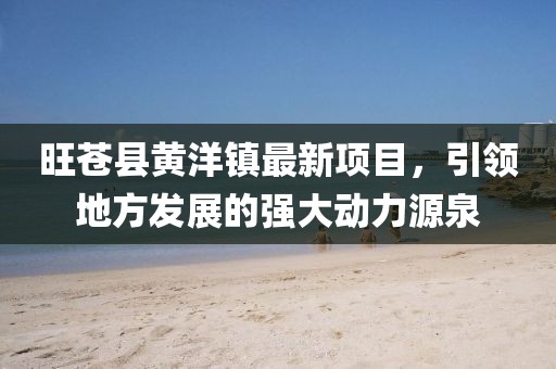 旺苍县黄洋镇最新项目，引领地方发展的强大动力源泉