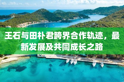 王石与田朴君跨界合作轨迹，最新发展及共同成长之路