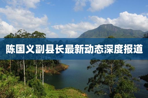 陈国义副县长最新动态深度报道