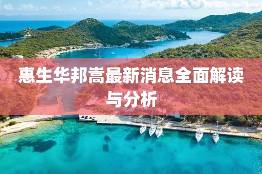 惠生华邦嵩最新消息全面解读与分析