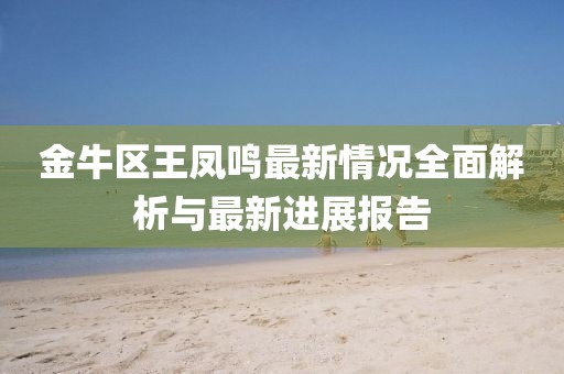 金牛区王凤鸣最新情况全面解析与最新进展报告