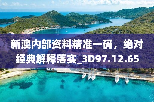 新澳内部资料精准一码，绝对经典解释落实_3D97.12.65