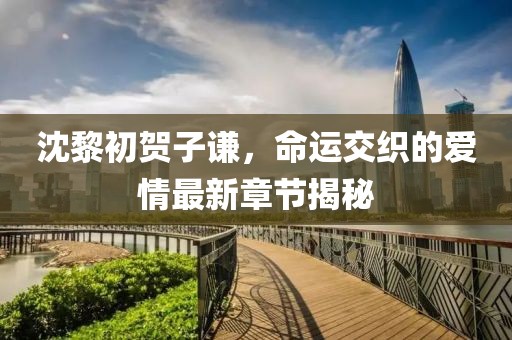 沈黎初贺子谦，命运交织的爱情最新章节揭秘