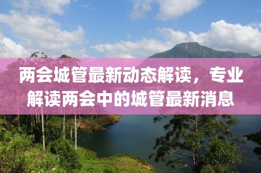 两会城管最新动态解读，专业解读两会中的城管最新消息