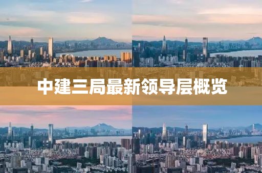 中建三局最新领导层概览