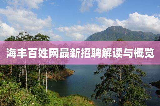 海丰百姓网最新招聘解读与概览
