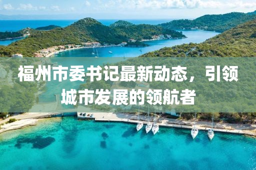 福州市委书记最新动态，引领城市发展的领航者