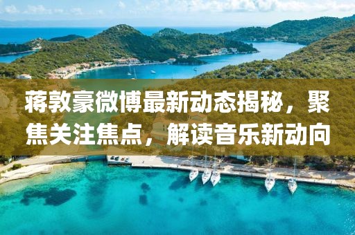 蒋敦豪微博最新动态揭秘，聚焦关注焦点，解读音乐新动向