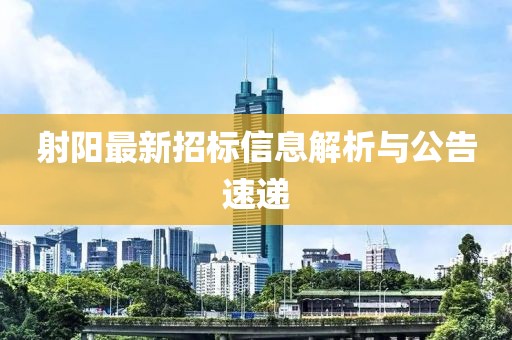 射阳最新招标信息解析与公告速递