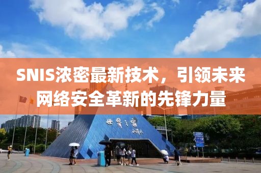SNIS浓密最新技术，引领未来网络安全革新的先锋力量