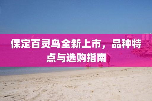 保定百灵鸟全新上市，品种特点与选购指南