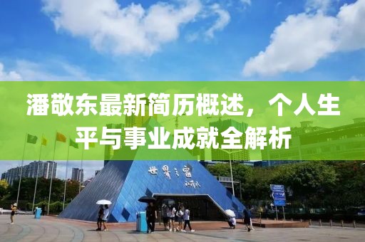 潘敬东最新简历概述，个人生平与事业成就全解析