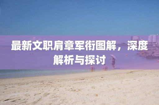 最新文职肩章军衔图解，深度解析与探讨