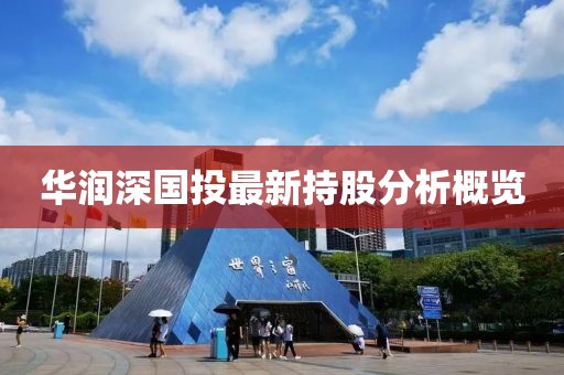华润深国投最新持股分析概览
