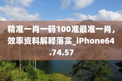 精准一肖一码100准最准一肖，效率资料解释落实_iPhone64.74.57